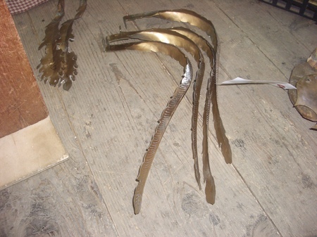 IMGP112134.JPG
