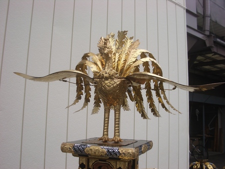 IMGP9857.JPG
