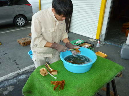 P1060100.JPG